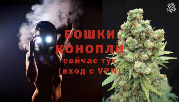 2c-b Ладушкин