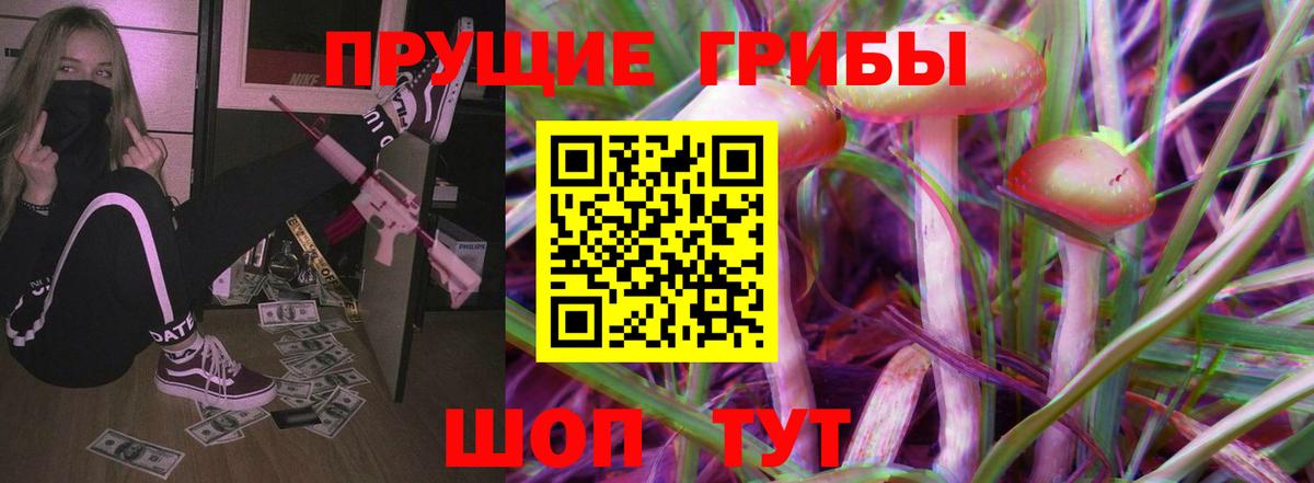 Псилоцибиновые грибы Psilocybe Ногинск