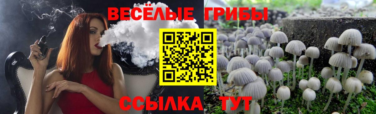 Галлюциногенные грибы MAGIC MUSHROOMS Ногинск